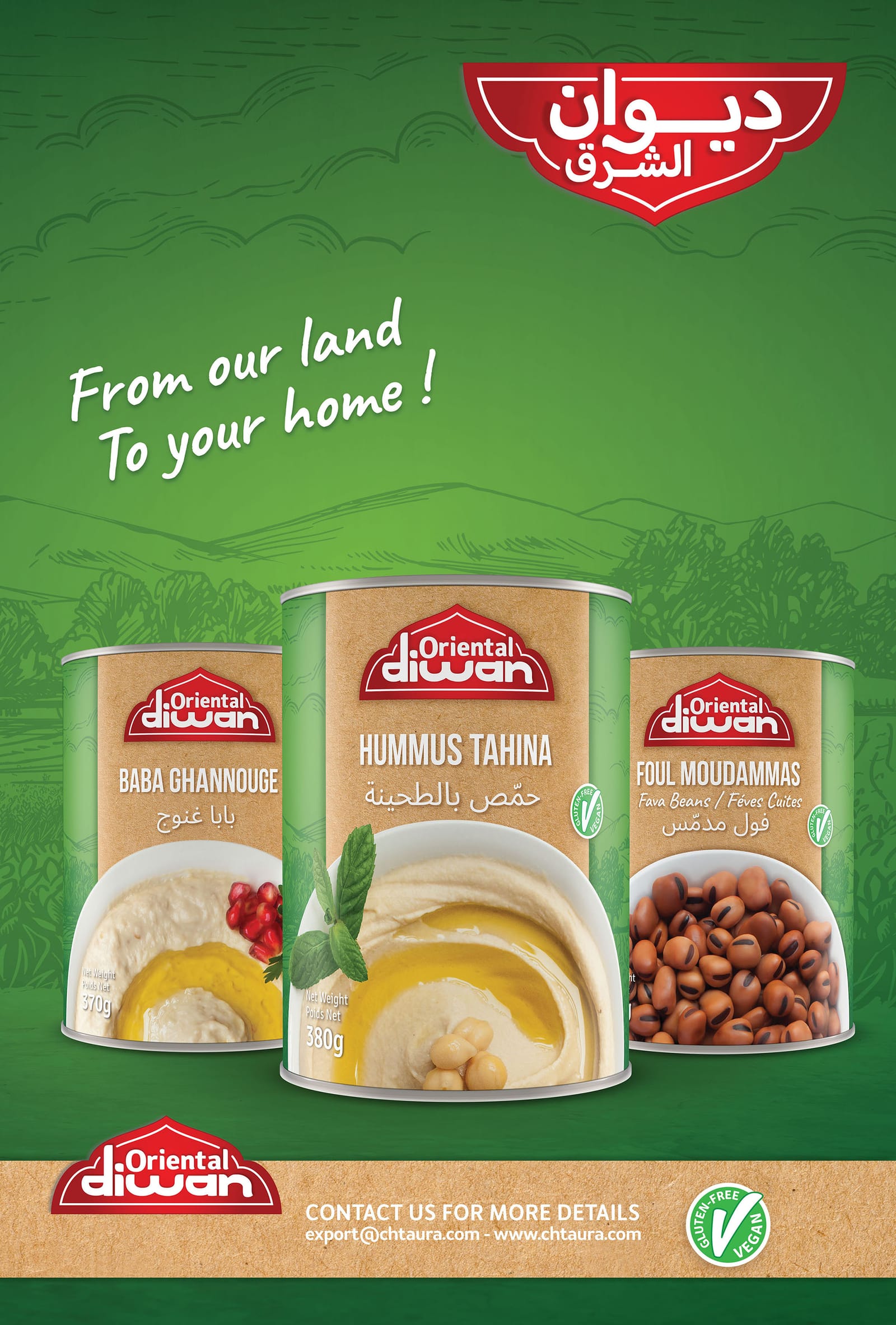 Oriental Diwan Hummus, Baba Ghannouj, Foul Moudammas